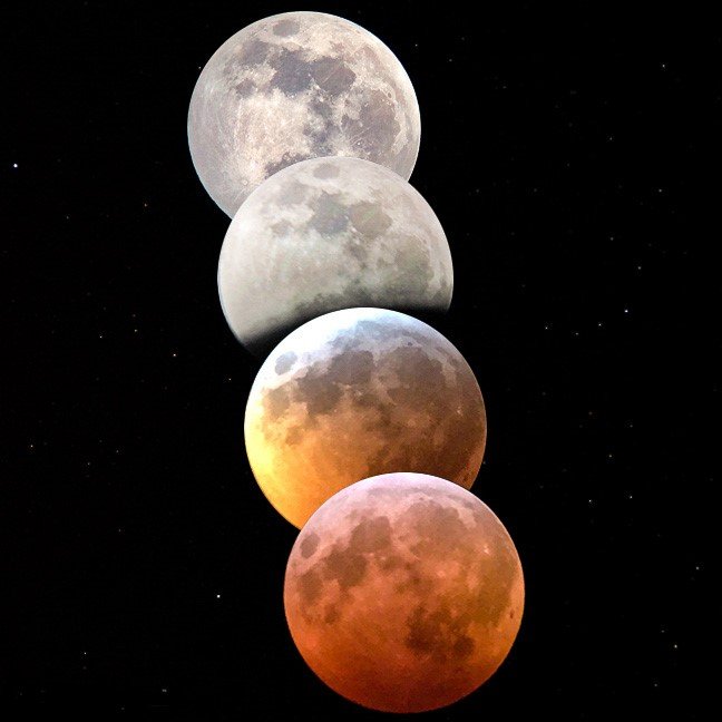 Lunar eclipse today on November 19