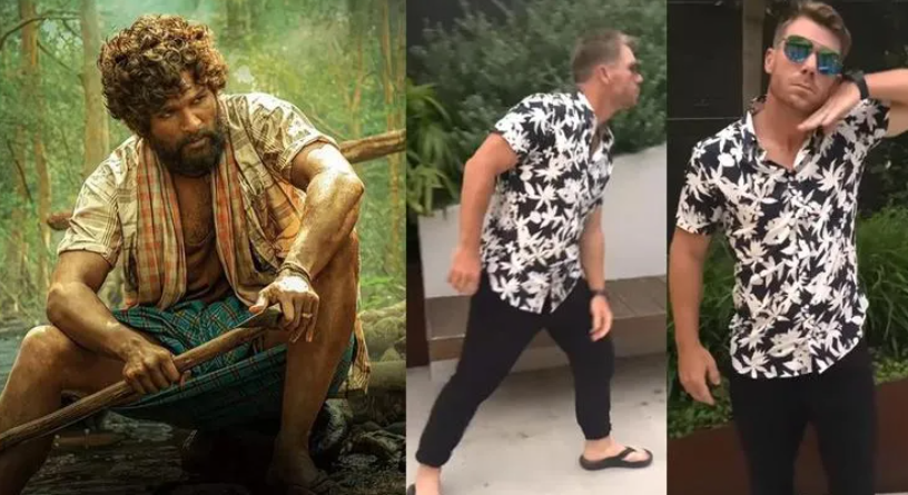 Watch Cricketer David Warner Recreates Allu Arjun's Dance Moves From Pushpa