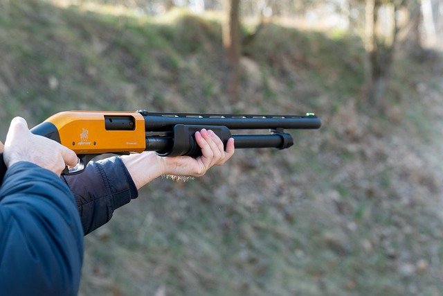 14-Year-Old Girl Dies During Celebration Firing at Wedding in Supaul, Bihar; Police Launch Probe