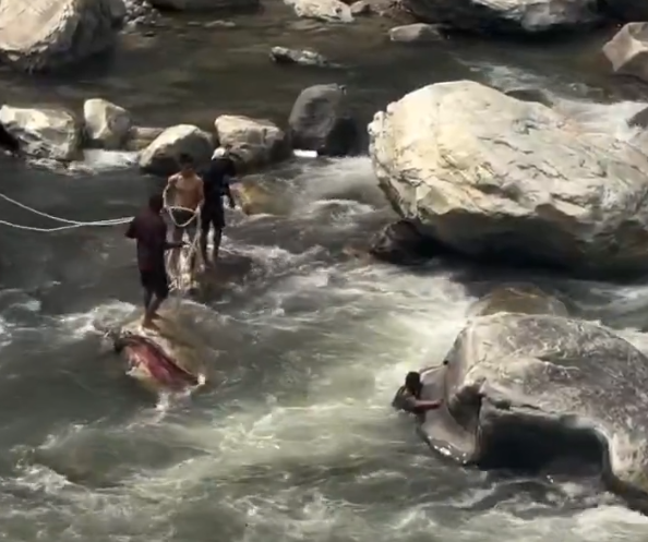 Viral Video: Tourist Risks Life for Selfie in Himachal, Rescued from River