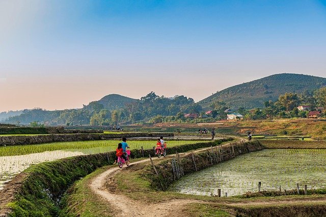 Bihar Bhumi Helpline 5 Land Services Now on One Call