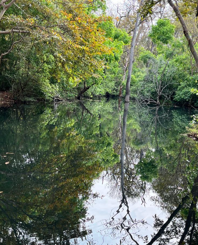 Mini Goa of Bihar: Perfect Summer Getaway with Nature and Wildlife