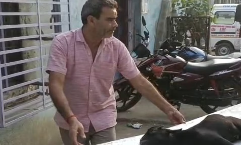 Goat Bitten by Snake, Taken to Emergency in Jehanabad