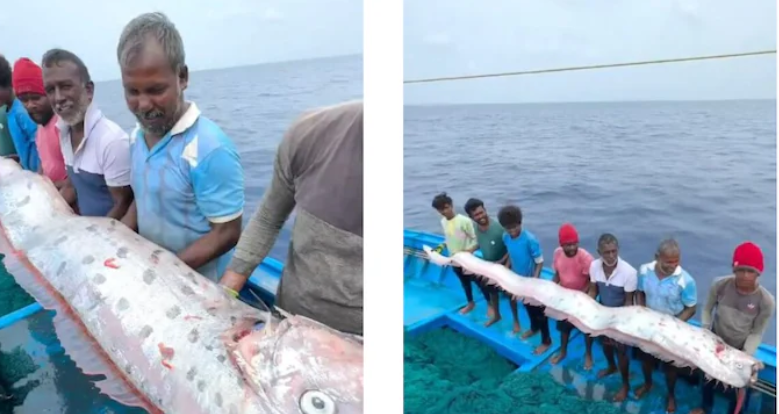 Doomsday Fish Found in Tamil Nadu, Sparks Panic