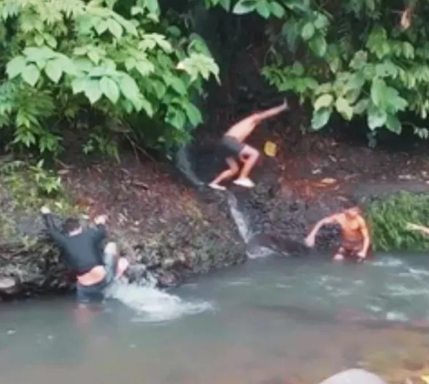 Viral Video: Death Strikes as Man Bathes in Jungle Stream, Shocking Footage Terrifies Viewers