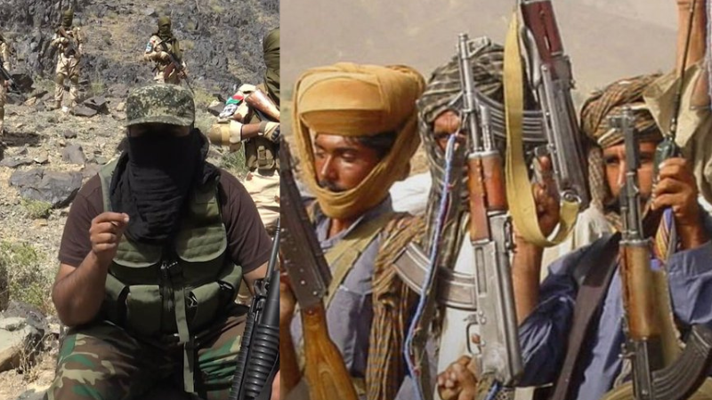 US Declares BLA Terror Group: Munir-Trump Strategy and India-Pak Tensions