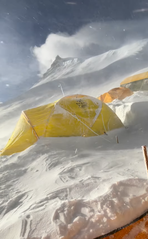 Girl woke up in tent with friends — what she saw outside left everyone shocked!