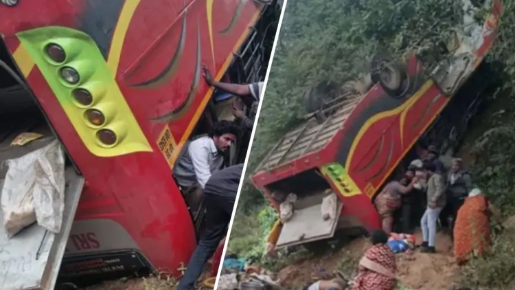 Andhra Pradesh Bus Accident: 9 Dead After Bus Falls into Valley