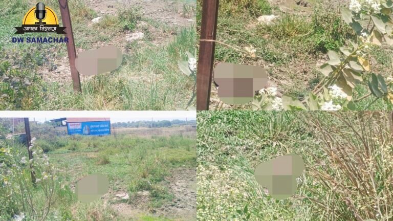 Jehanabad News: शकूराबाद में सनसनी: सड़क किनारे मिला अज्ञात बुजुर्ग का शव, पहचान में जुटी पुलिस