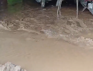 Heavy Rain Havoc Across North India