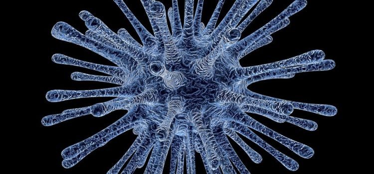 13 Cases of HMPV Virus Reported in India; States Increase Vigilance Following Central Government's Directive