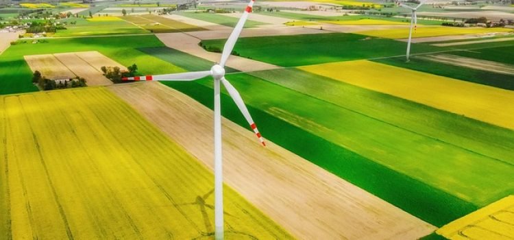 Bihar Emerges as Green Energy Hub with ₹5000 Cr Investment