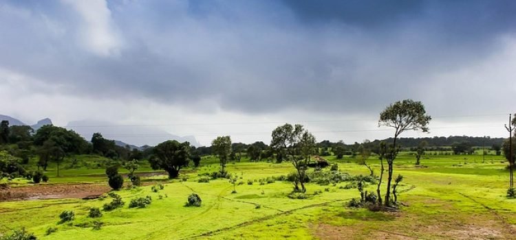 Bihar Rain Alert Heavy Rainfall Expected in These Districts