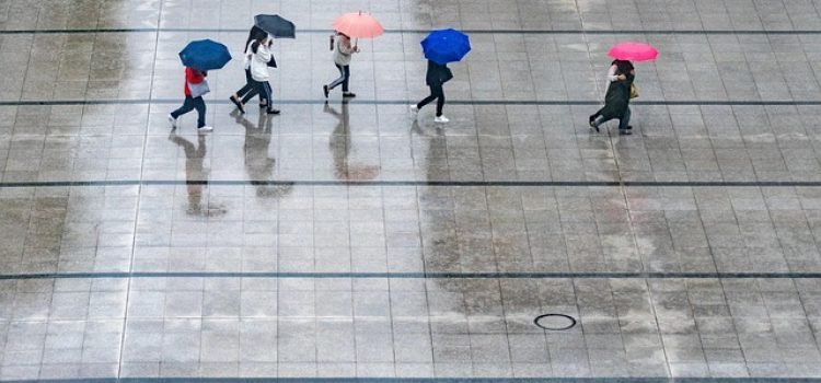Bihar Weather Alert Heavy Rain in 23 Districts