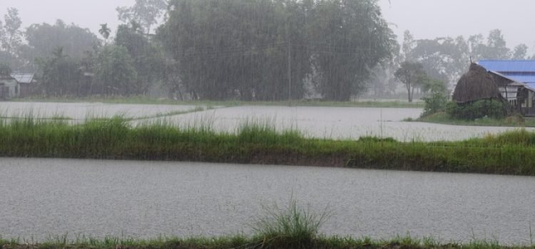 Bihar Weather Alert Rain, Lightning Kill 4 People
