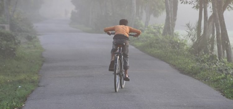 Bihar Weather Alert Severe Cold and Dense Fog Ahead