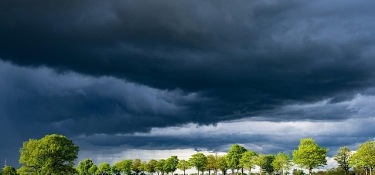 Bihar Weather Today Yellow Alert in 32 Districts, Flood Situation Worsens