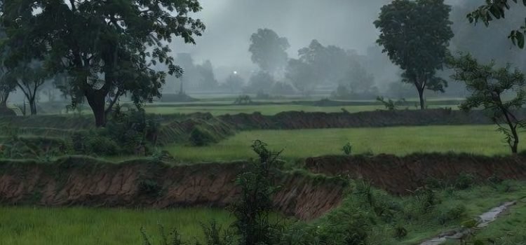 Bihar Weather Update Rain Brings Relief From Heat
