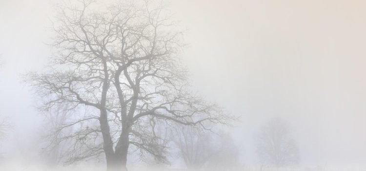 Bihar Weather Update Temperature Drops in 20 Districts