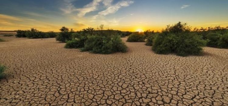 Bihar-declares-96-blocks-in-11-districts-as-drought-hit