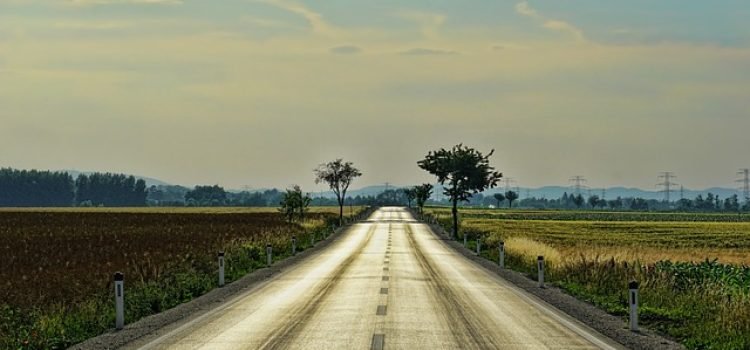 Bihar to Build Three Major Bypasses Worth ₹600 Crore Faster Travel Between Ara, Nalanda, Rajgir, and Lakhisarai