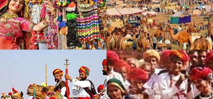 Camel Festival 2022