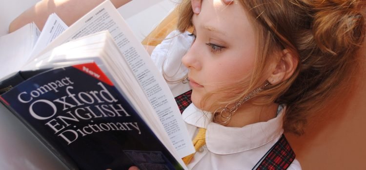 Delhi govt to offer free spoken English course