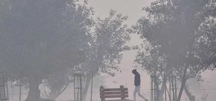 Delhi\'s air quality in \'severe\' category