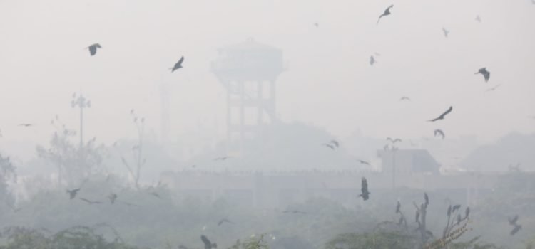 Delhi NCR on high alert, schools from 1st to 8th closed in