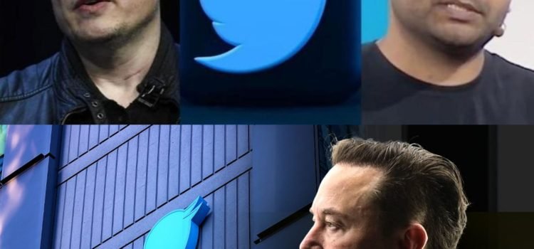 Elon Musk Takes Over Twitter, Fires Top Executives Including