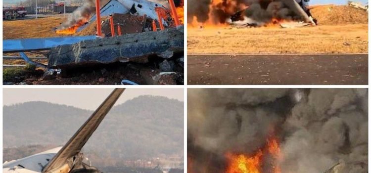 Tragic Accident in South Korea: Plane Skids Off Runway During Landing, Several Passengers Dead