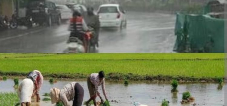 IMD Forecasts Above-Normal Monsoon for 2025, Bringing Major Relief to Farmers Amid Rising Heat