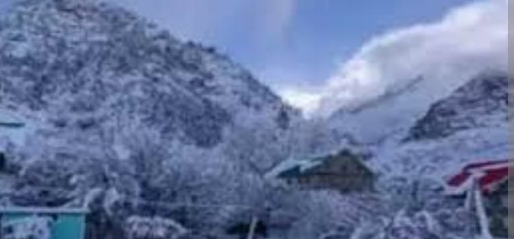 IMG-20241228-WA0014