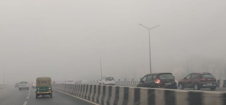In Videos Dense fog reduces visibility in Delhi