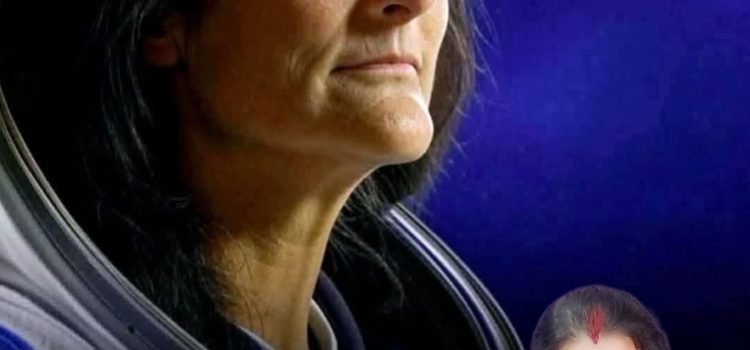 Sunita williams returns to earth