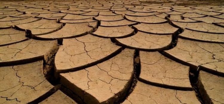 India Drought Risk Weak Monsoon Raises Concerns