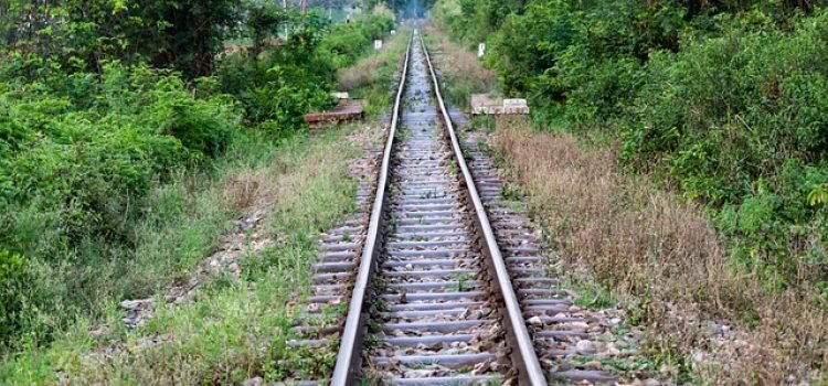 Jehanabad Vande Bharat Train Accident Student Dies