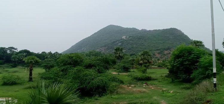 Jehanabad’s Forgotten Heroes Unsung Freedom Fighters of India's Independence