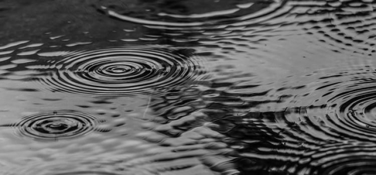 Monsoon Hits North India Rain Alert Issued in Many States