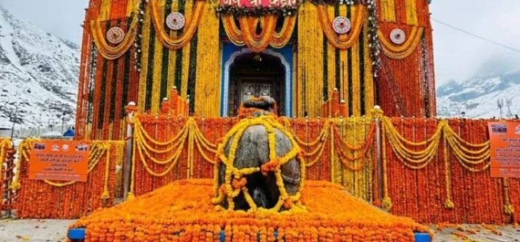 Kedarnath Yatra Alert: Equine Influenza Detected, Strict Quarantine Measures in Place