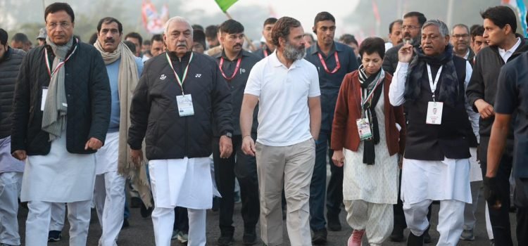 Rahul Gandhi's Bharat Jodo Yatra Resumes From Haryana's Nuh