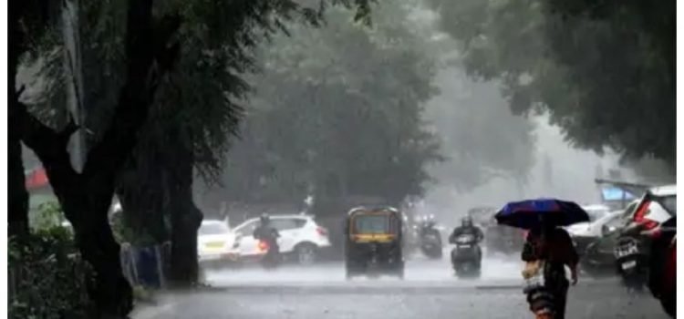Rain-1-1