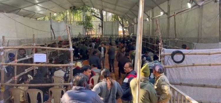 Uttarakhand Municipal Elections- Vote Counting Underway, Results Expected by Evening
