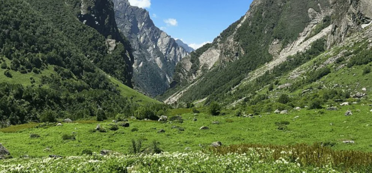 Valley Of Flowers National Park Temporarily Closed Now