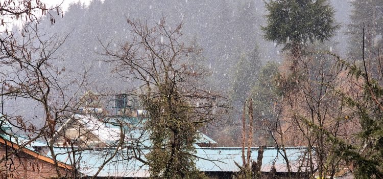 Video Snowfall in Manali - Tourists and Locals Rejoice Ahead of Christmas, Manali Covered in Snow