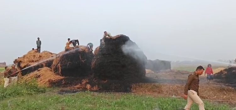 Videoshot_20250128_201817