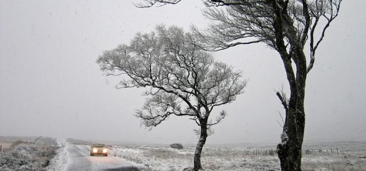 Weather Update IMD Issues Heavy Rain & Snowfall Alert in 10 States