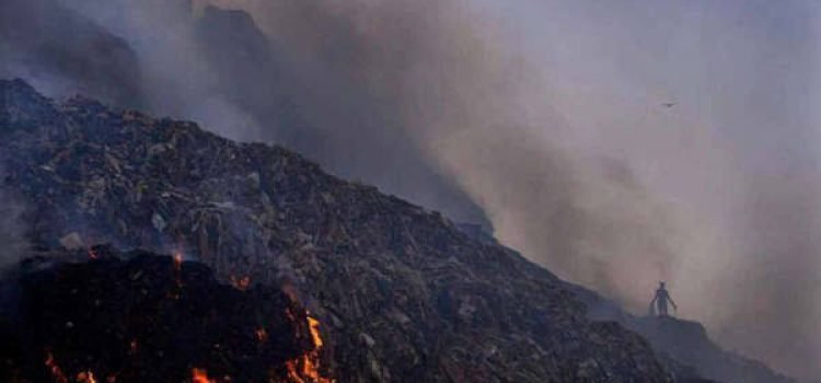 NGT imposes Rs 900-cr fine on Delhi govt