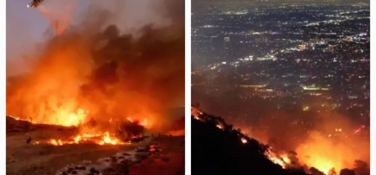 America Witnesses Devastating Fires: Thousands of Buildings Destroyed, Homes of Hollywood Stars Burnt