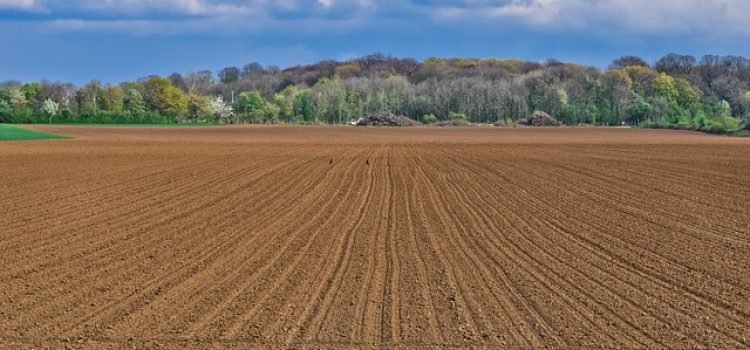 Bihar Legalizes ‘Badlain’ Land: Big Relief for Farmers